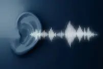 Vibration and Noise Control: Theory and Practice